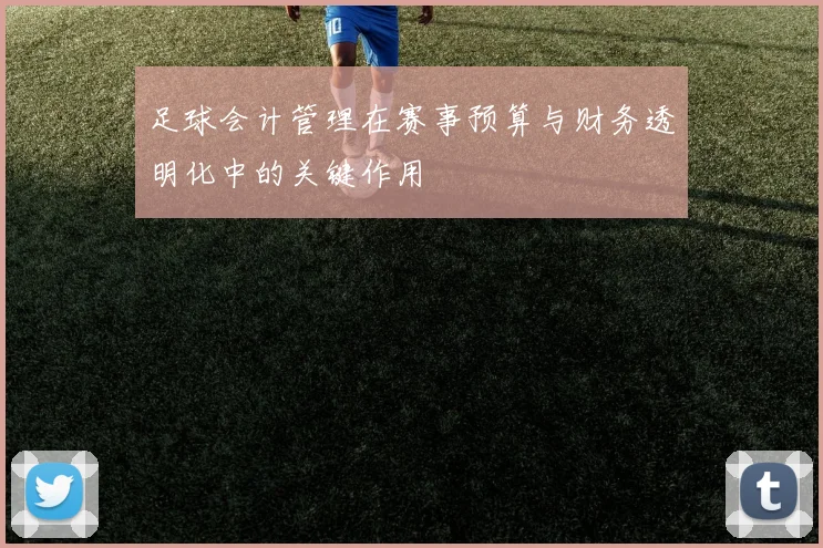 足球会计管理在赛事预算与财务透明化中的关键作用