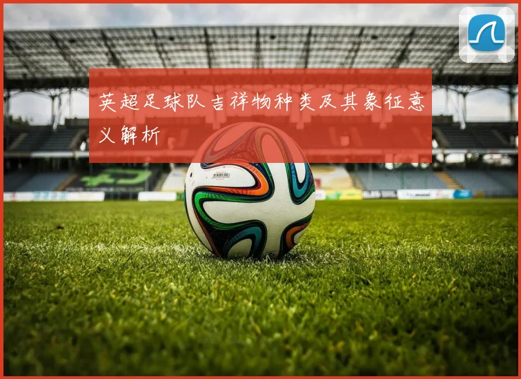 英超足球队吉祥物种类及其象征意义解析