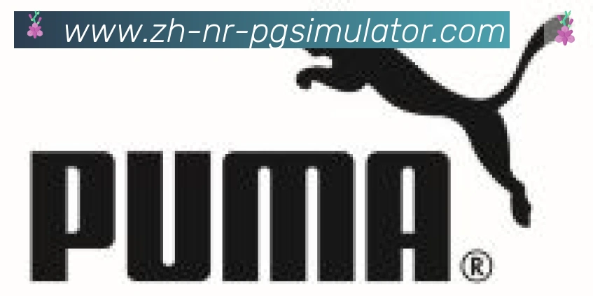 PG电子在线试玩入口合作伙伴