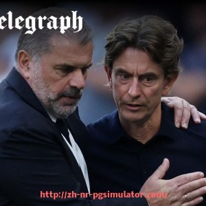 PG电子在线试玩入口-法甲外援实际表现对比与球队战术适配情况分析